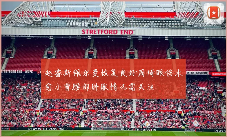 赵睿斯佩尔曼恢复良好周琦眼伤未愈小曾腰部肿胀情况需关注