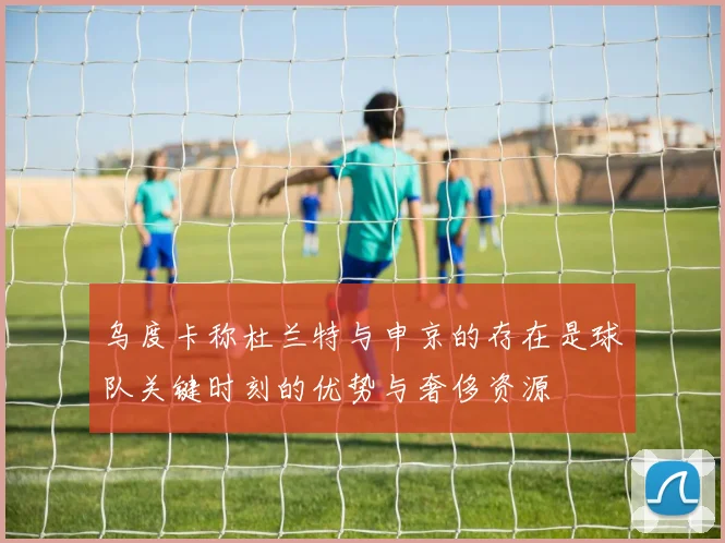 乌度卡称杜兰特与申京的存在是球队关键时刻的优势与奢侈资源