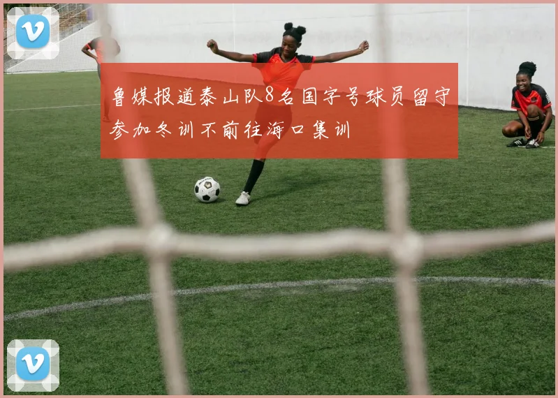 鲁媒报道泰山队8名国字号球员留守参加冬训不前往海口集训